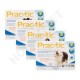 Prac-tic spot on dog